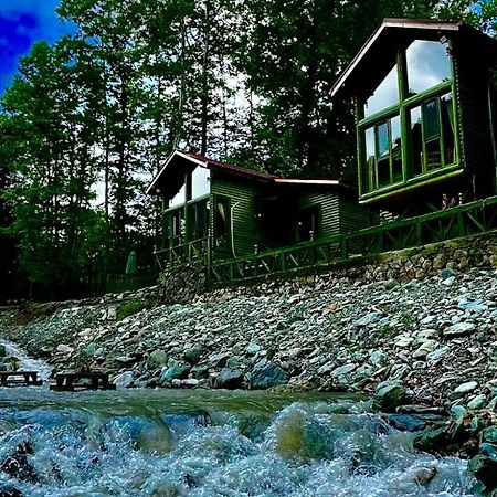 Villa Doga Su Minimal Evler Sapanca Exterior foto